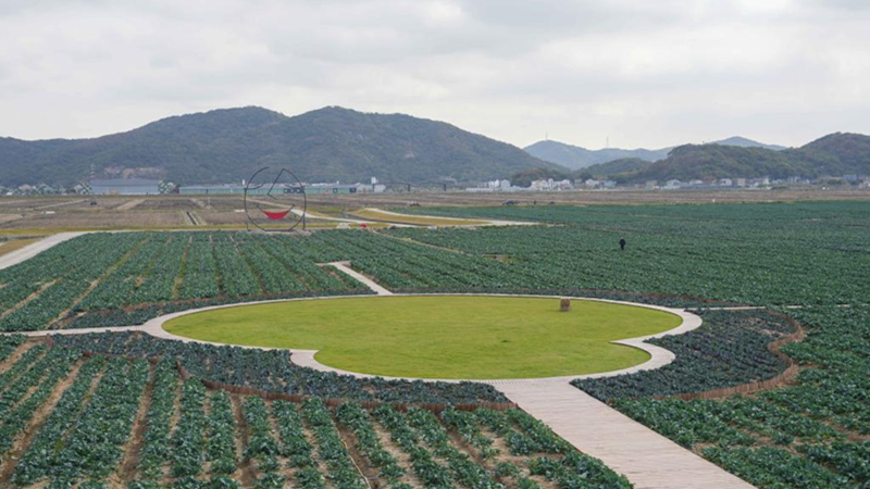 浙農科技岱山運營項目獲人民日報、新華社、央視等主流媒體關注