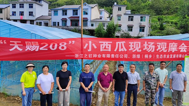 之豇種業“天賜208”小西瓜高山試種成功 助力山區特色農業發展